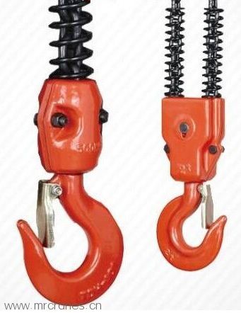 Electric Chain Hoists for sale1-11.jpg