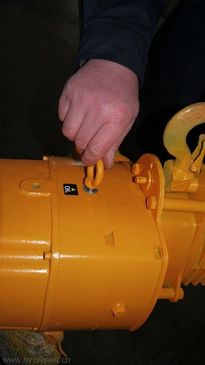 Electric Chain Hoists for sale1-43.jpg