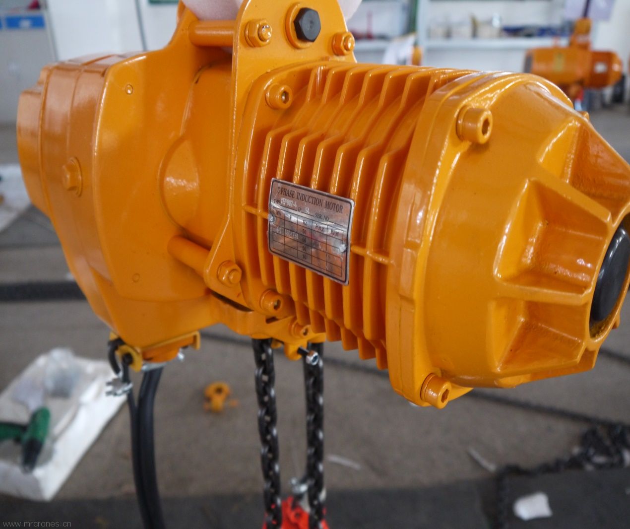 Professional Supplier of RM Electric Chain Hoists12-5.jpg