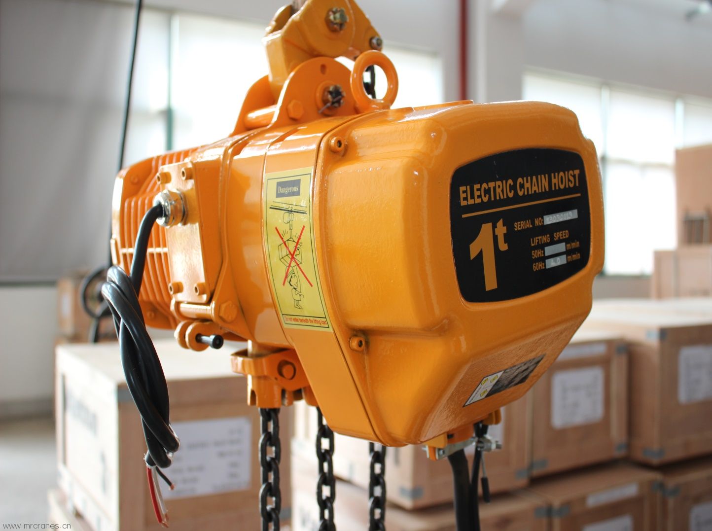 Professional Supplier of RM Electric Chain Hoists12-9.jpg