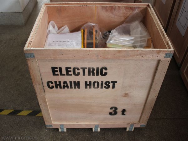 Professional Supplier of RM Electric Chain Hoists12-12.jpg
